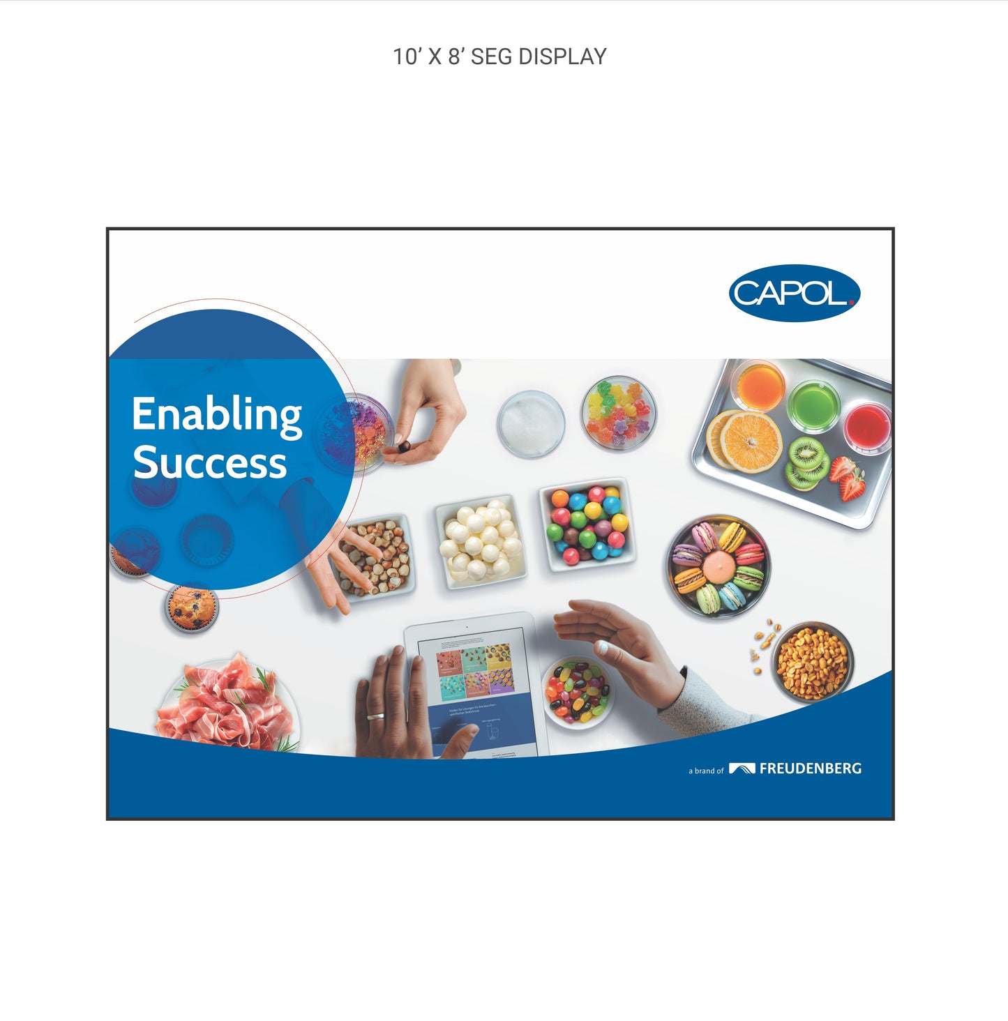 Custom SEG Display - Capol Enabling Success