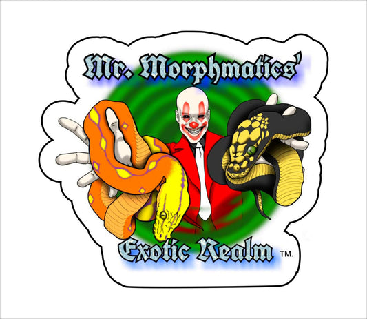 Custom Decal - Mr Morphmatics