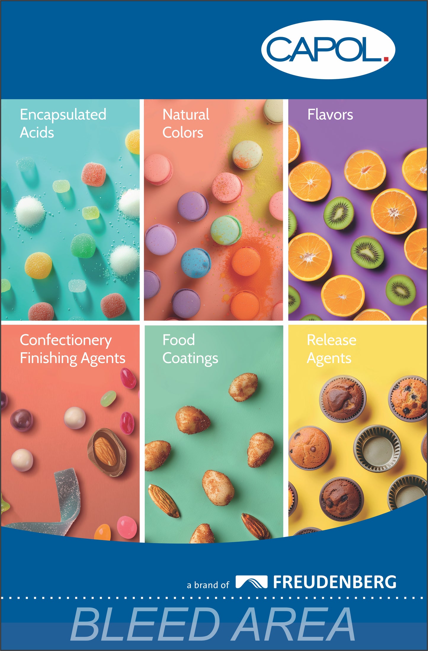 Custom Private Tabletop Retractable Banner - Capol v2 - Nov 2024